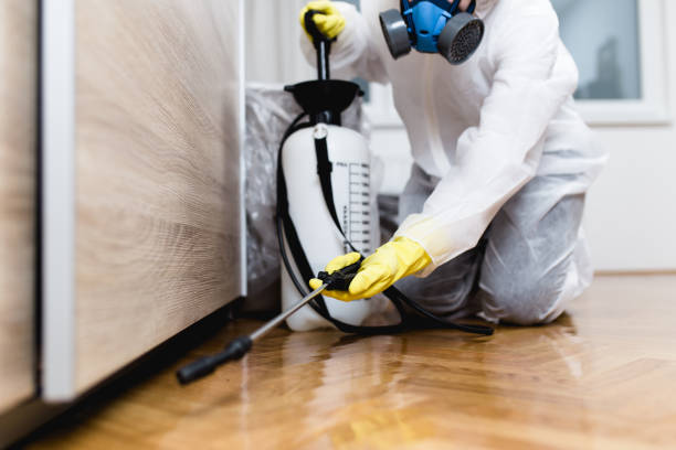 Best Residential Pest Control  in Kennesaw State University, GA