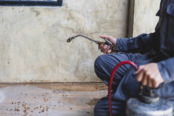 Best Best Pest Control Companies  in Kennesaw State University, GA